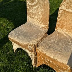 Golden Banquet Chair Covers