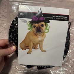 M/l New Witch’s Hat With Hair For Dog 
