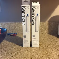 Refrigerator Water Filter Replacement