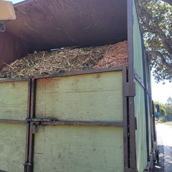 Free Wood  Chip