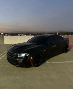 Tint For Sale