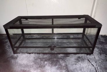 Reptile zoo 20 gallon tank