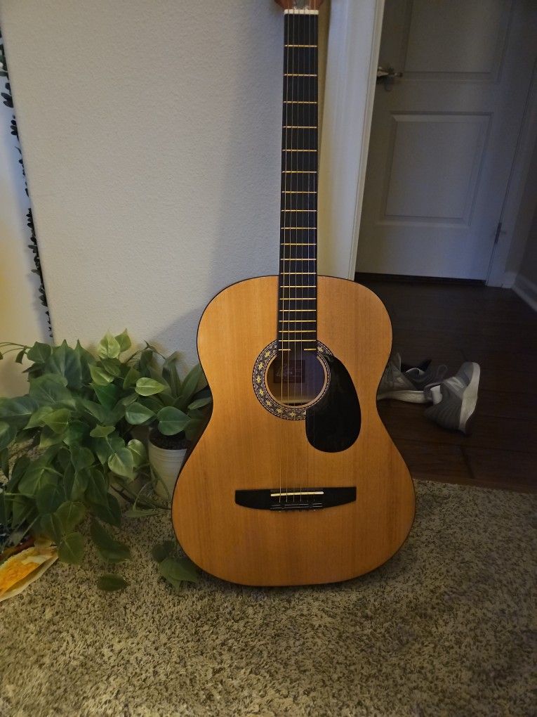 Guitar
