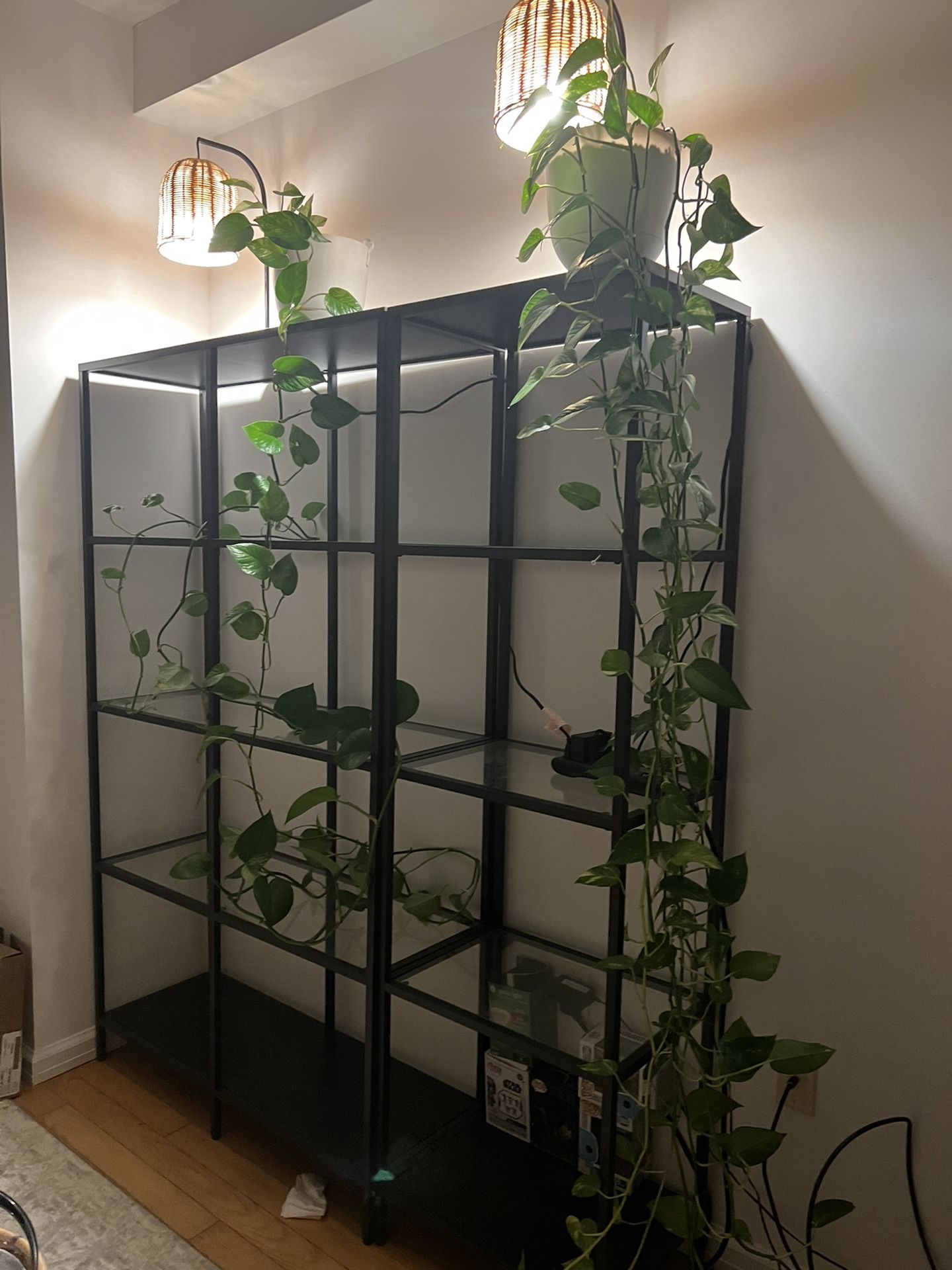 IKEA VITTSJÖ Shelf unit, black-brown/glass, 39 3/8x68 7/8 "