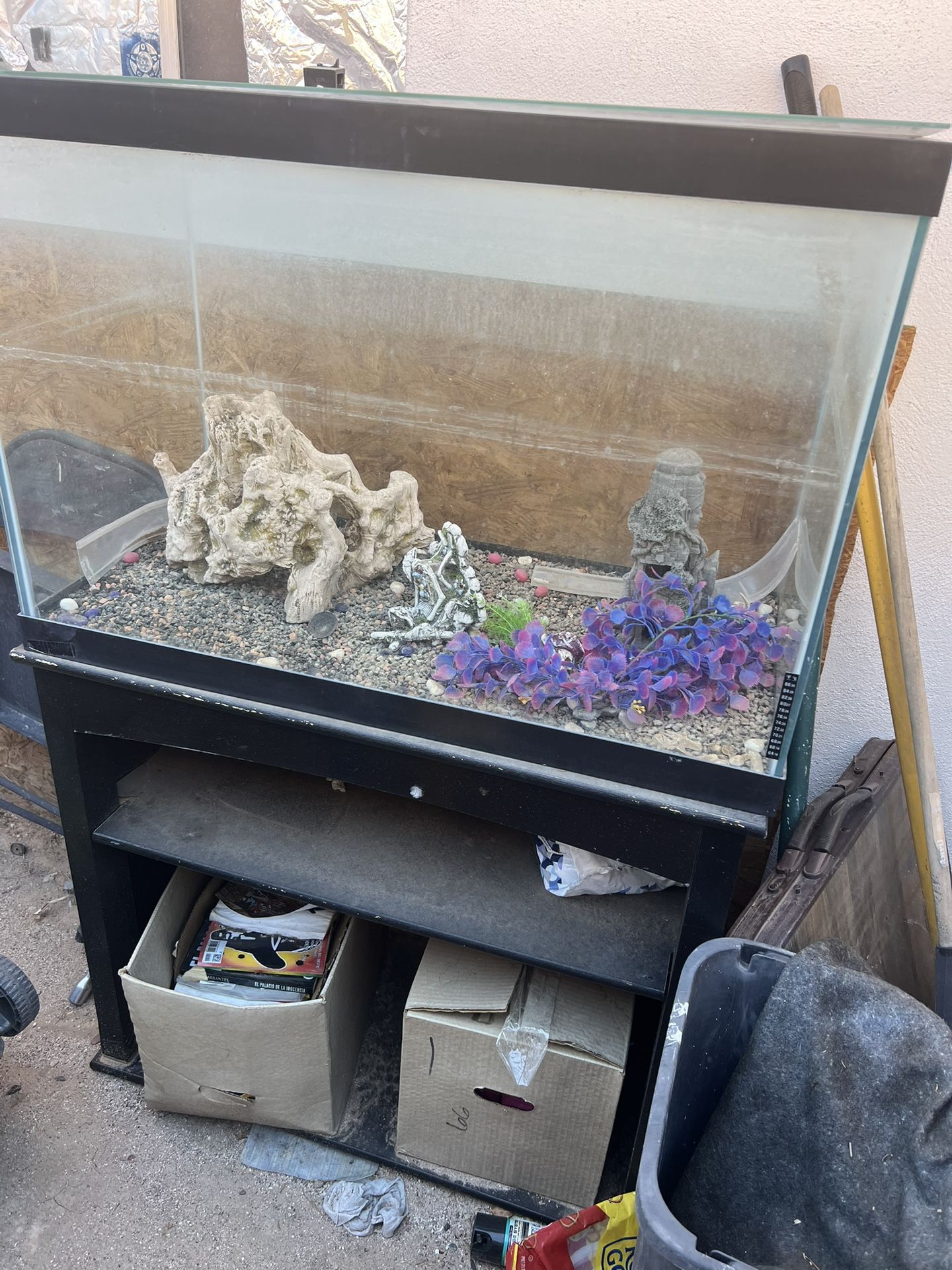 Free Fish Tank