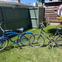 2 Bikes 1 Is A Schwinn The Other Is A Mountain Trek. 
