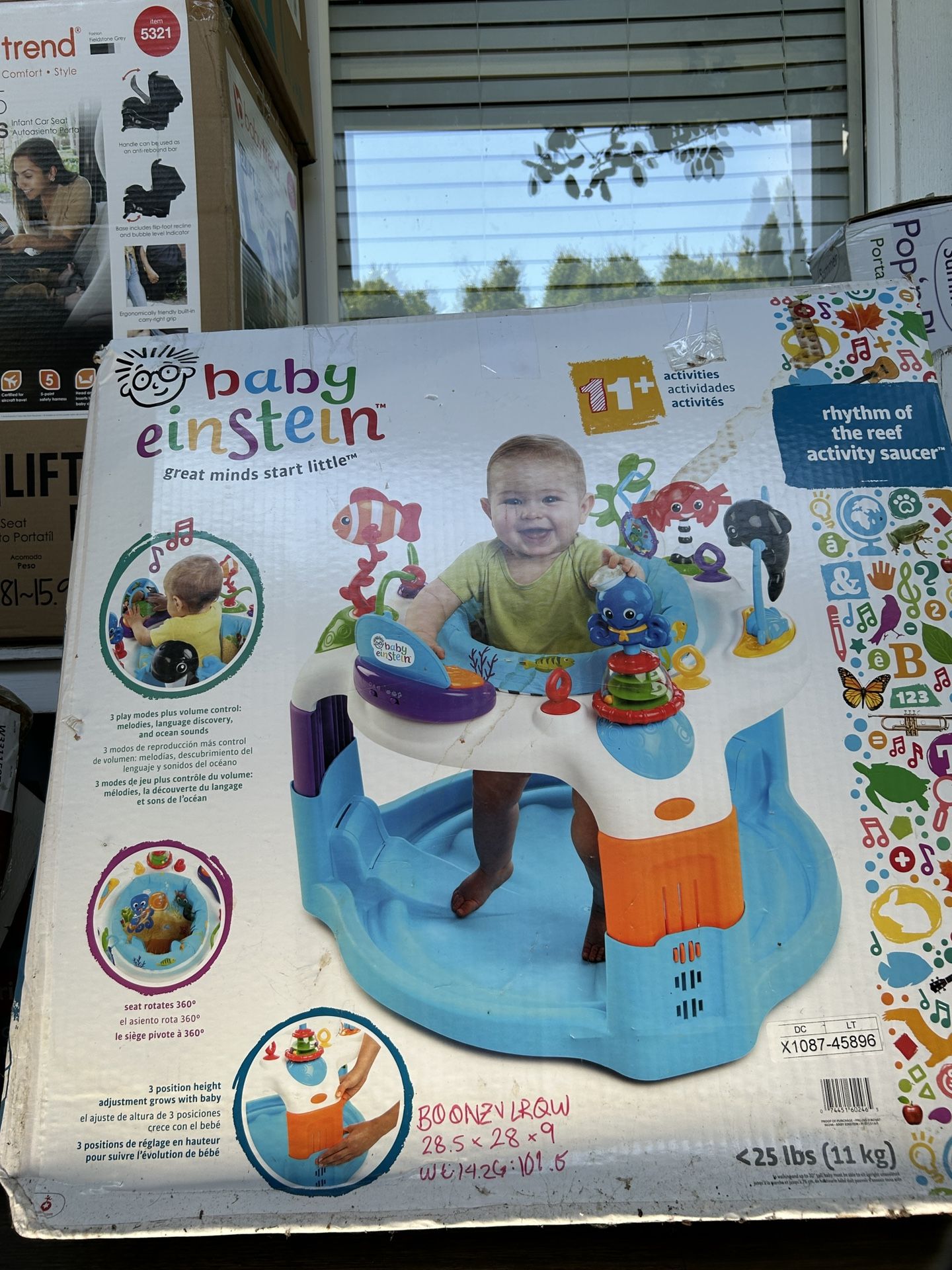 Baby Einstein Rhythm of The Reef Activity Saucer
