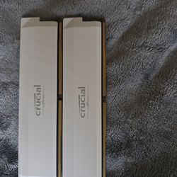 Crucial Pro Overclocking 32GB (2 x 16GB) DDR5 6000 (PC5 48000)