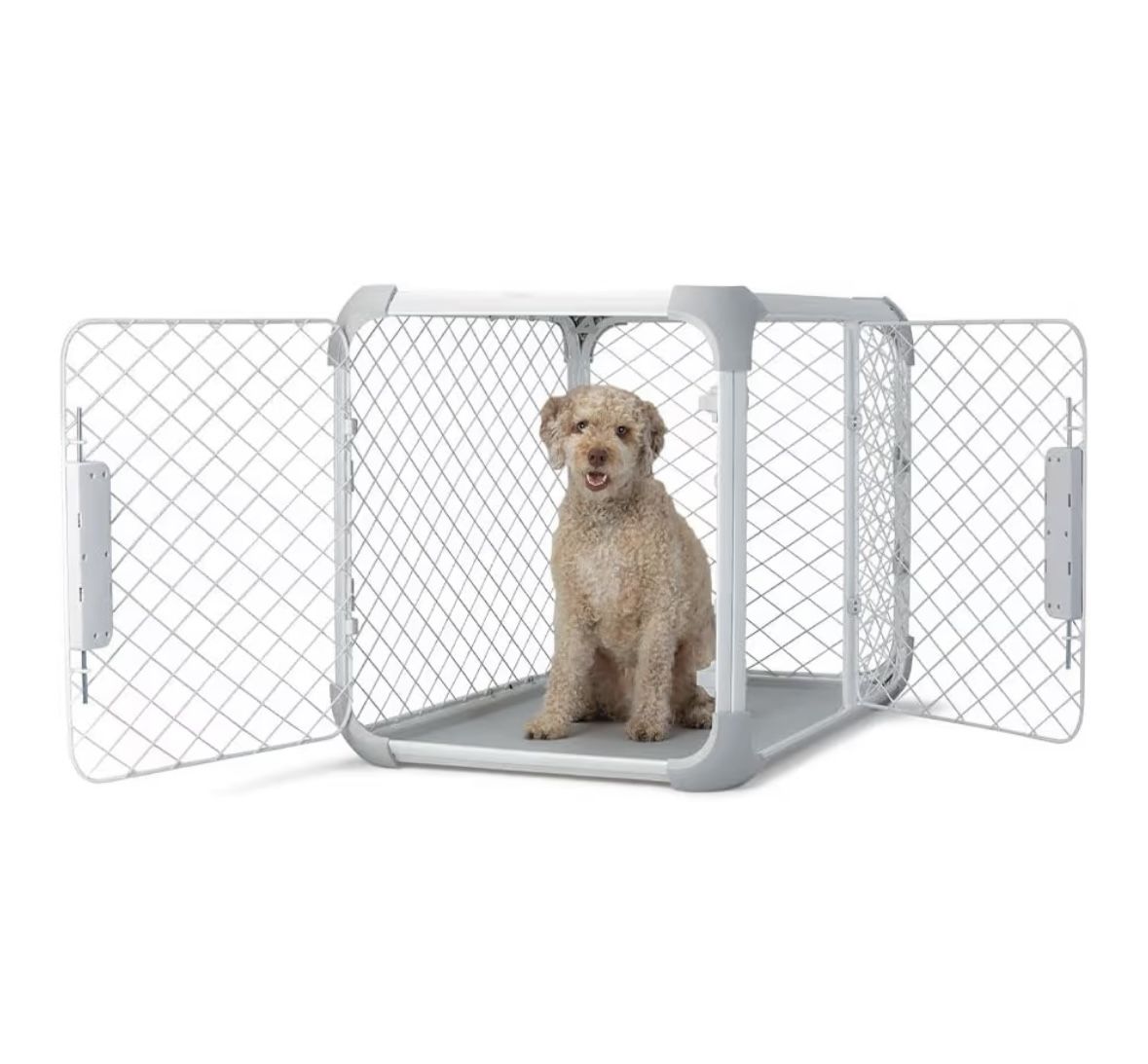DIGGS Dog Crate - Medium