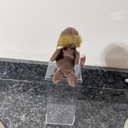 Beanie Baby