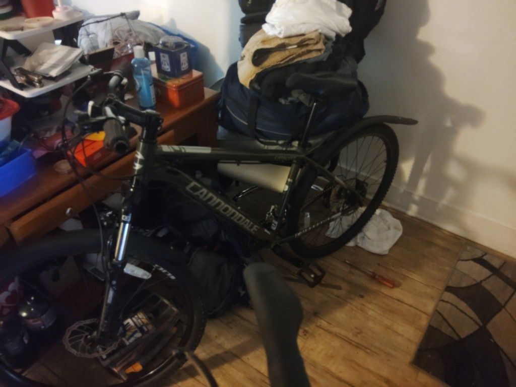 Catalyst Cannondale Great And Realablie
