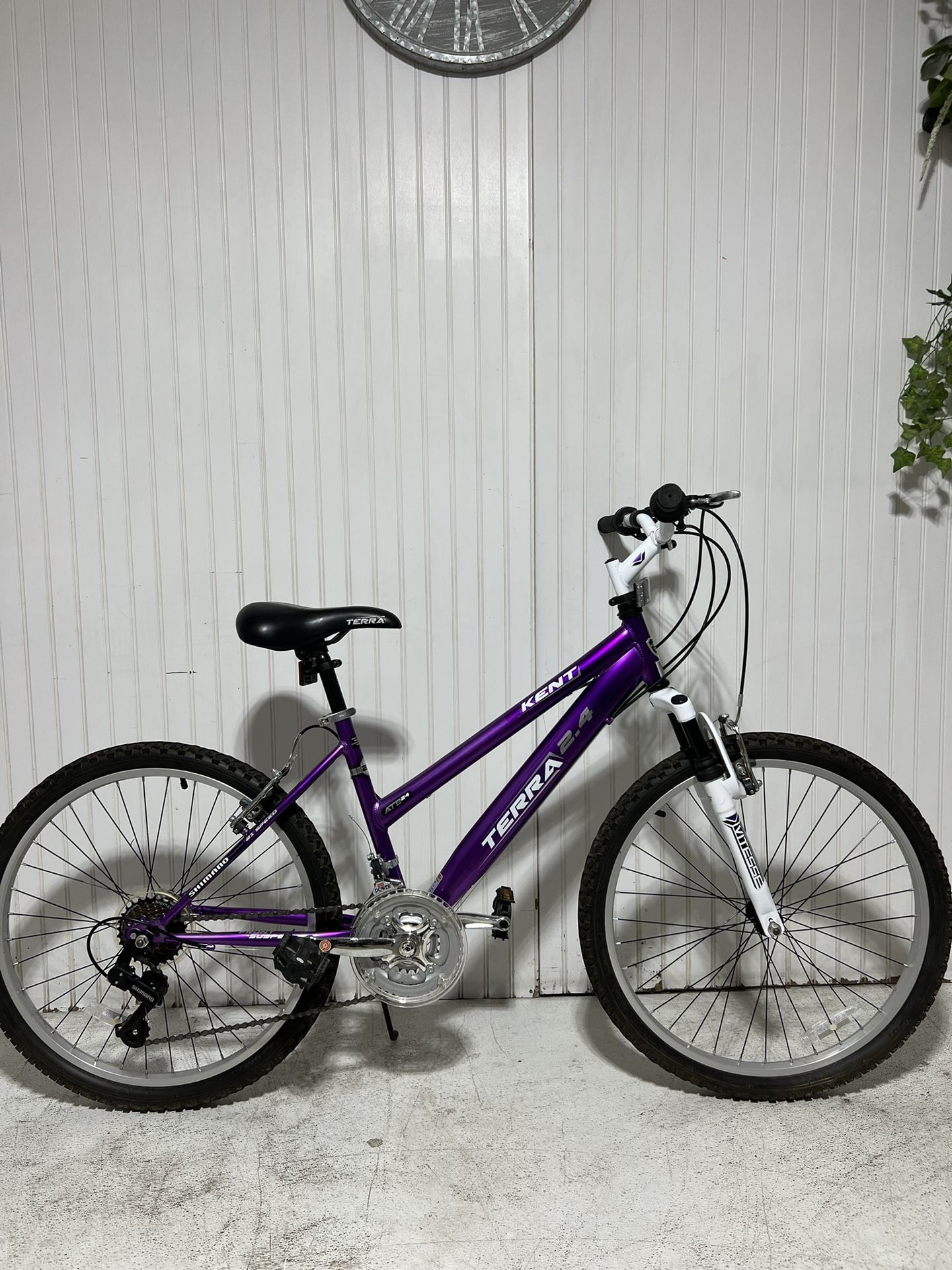 24” Bike, bicycle, bicicleta