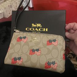 Women  Purse
