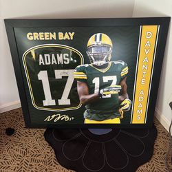 Davante Adams jersey
