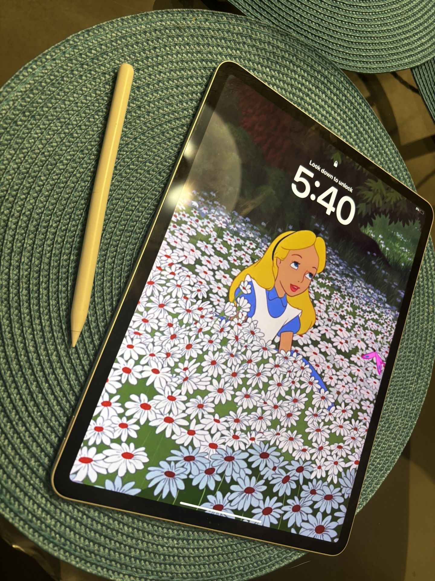 iPad Pro 12.9in (4th Gen 2020)+ Apple Pencil 