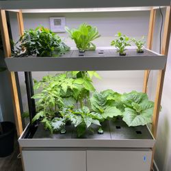RISE hydroponic Garden 