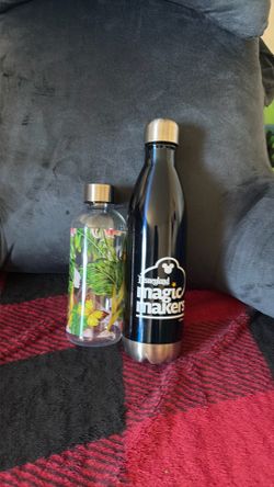 Disney bottle and a flowers+butterflies bottle