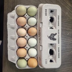 Farm Fresh Eggs