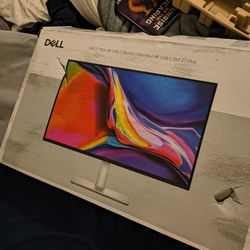 New dell monitor 
