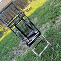 Bird Cage