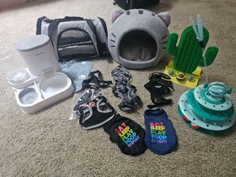 Cat accessories