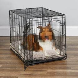 MidWest iCrate Fold & Carry Single Door Collapsible Wire Dog Crate

