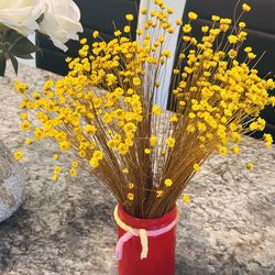 Nature dried flower with red vase