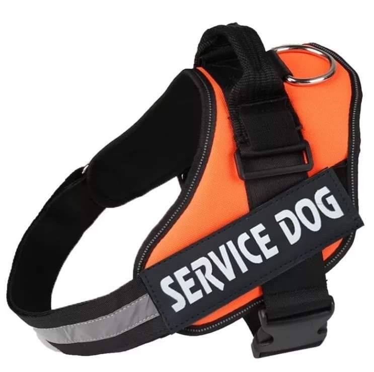 Service Dog Harness Orange Vest BRAND NEW All Sizes XS S M L XL XXL