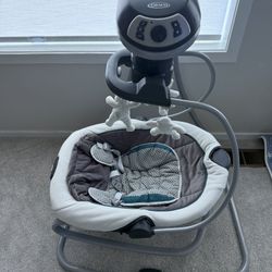 Graco DuetSoothe Swing and Rocker with Removable Swing Seat and 6 Swinging Speeds for Toddler Swing Seat and Swing Chair