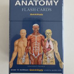Anatomy Flash Cards 