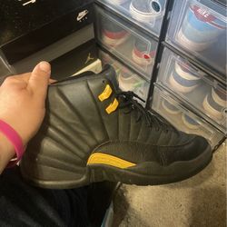 Jordan 12 