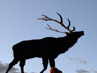 3-D Elk Silhouettes