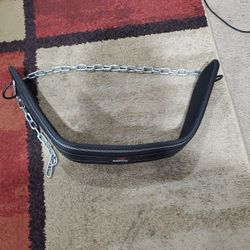 Dip Weight Belt