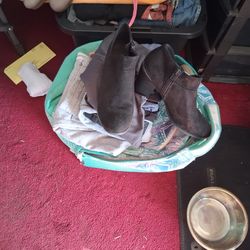 Ana Size7.5 Brand new never been won