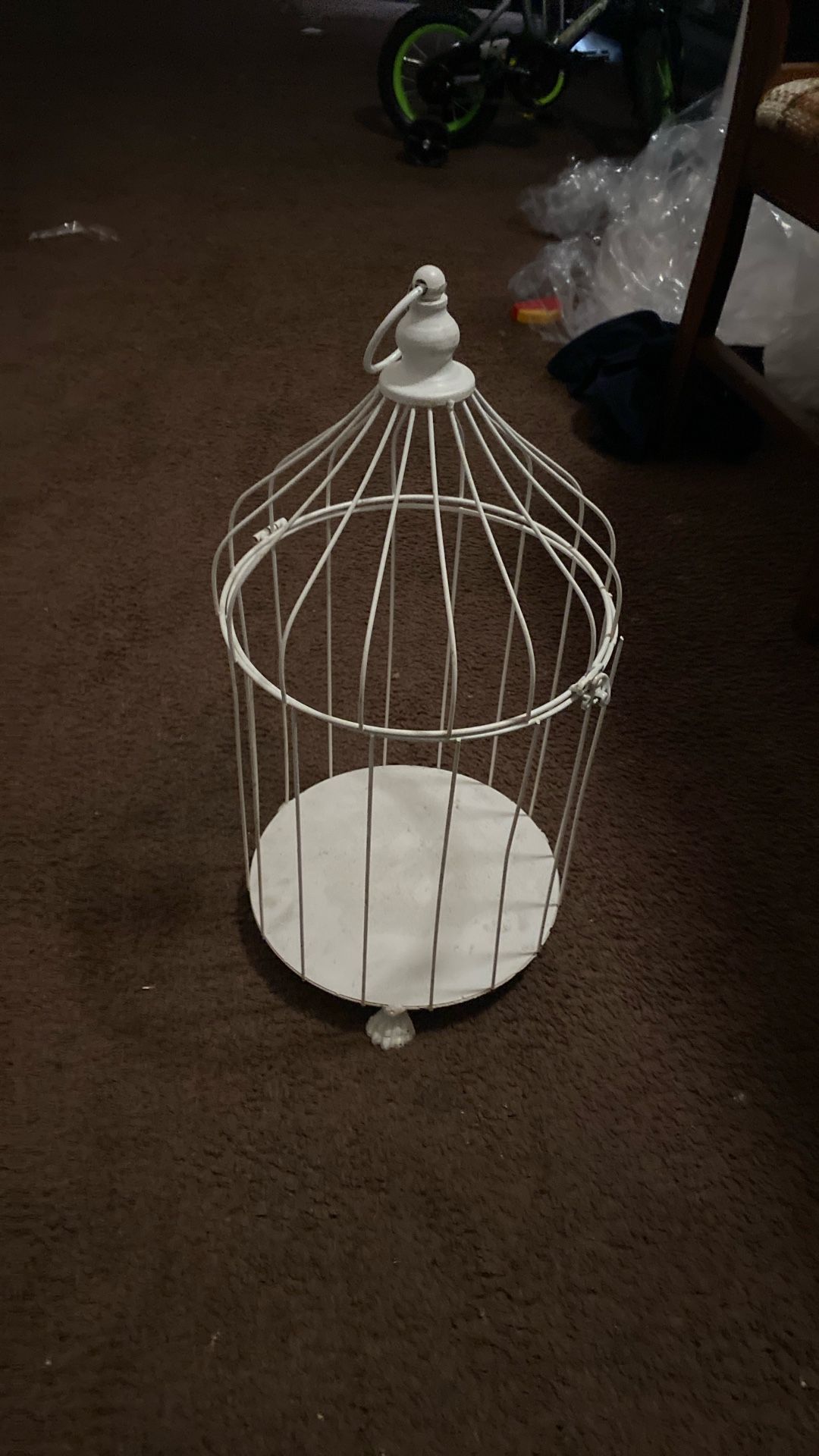 Bird Cage