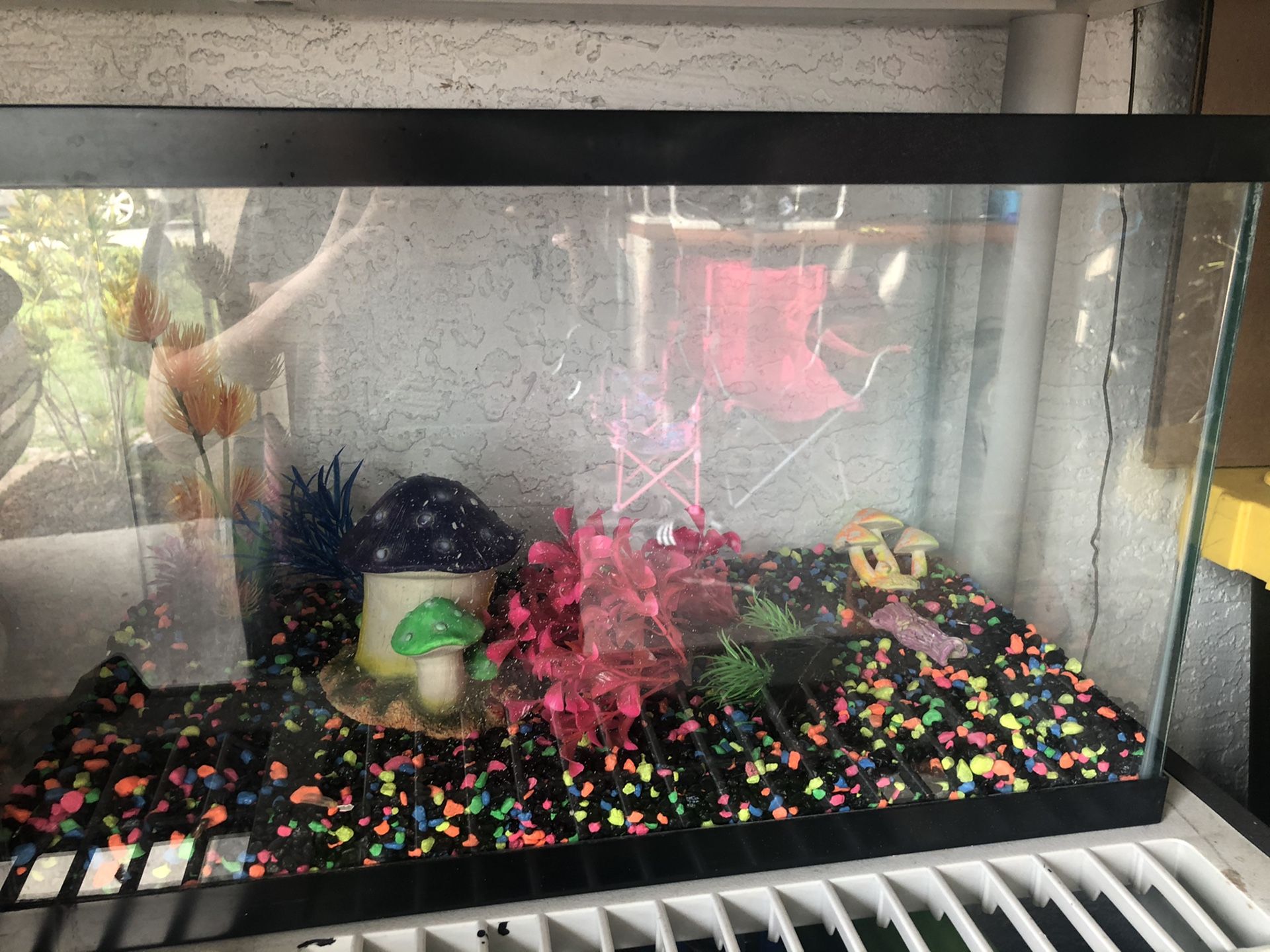 Glofish tank‼️READ DISCRIPTION‼️