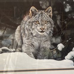Print Animal