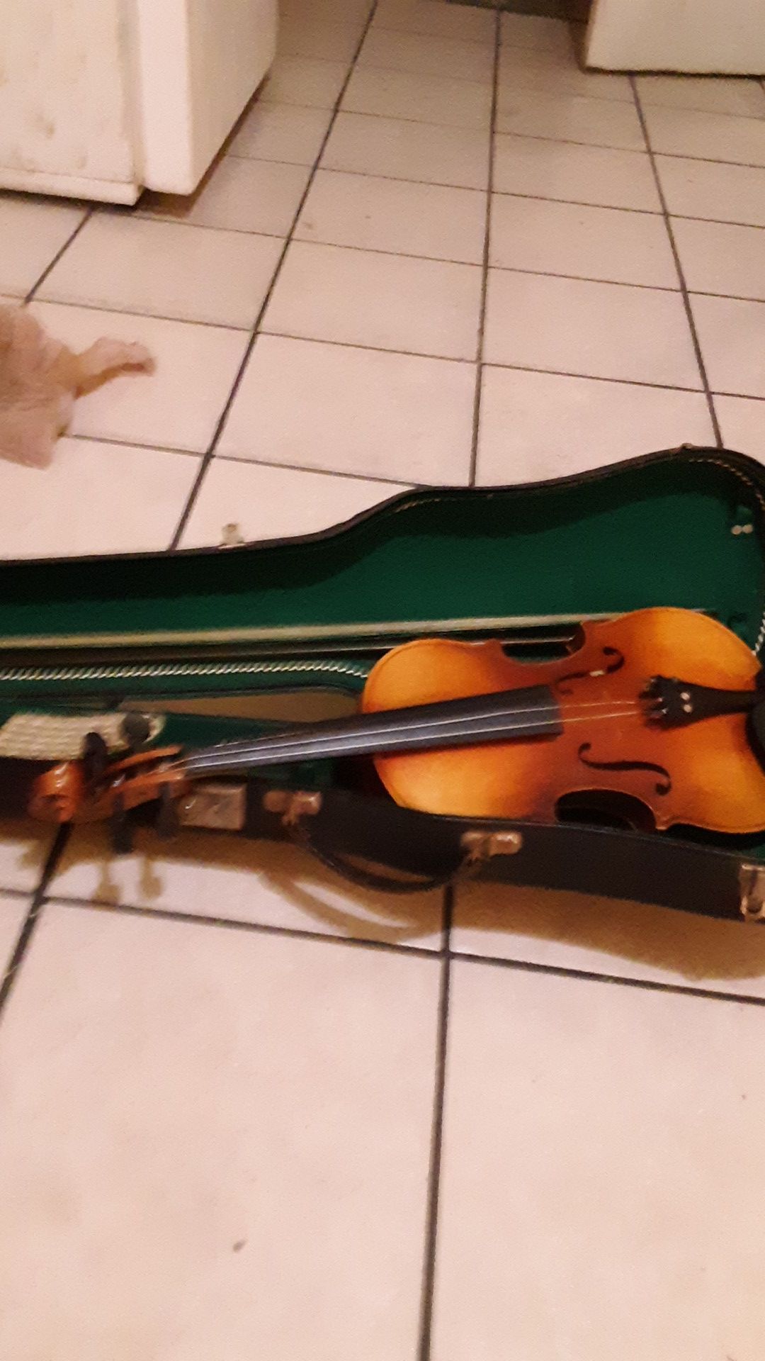 Antonius stradivarius,cremona fecit anno 1731