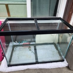 65 Gallon Fish Tank