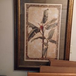 Framed Pictures Various Prices