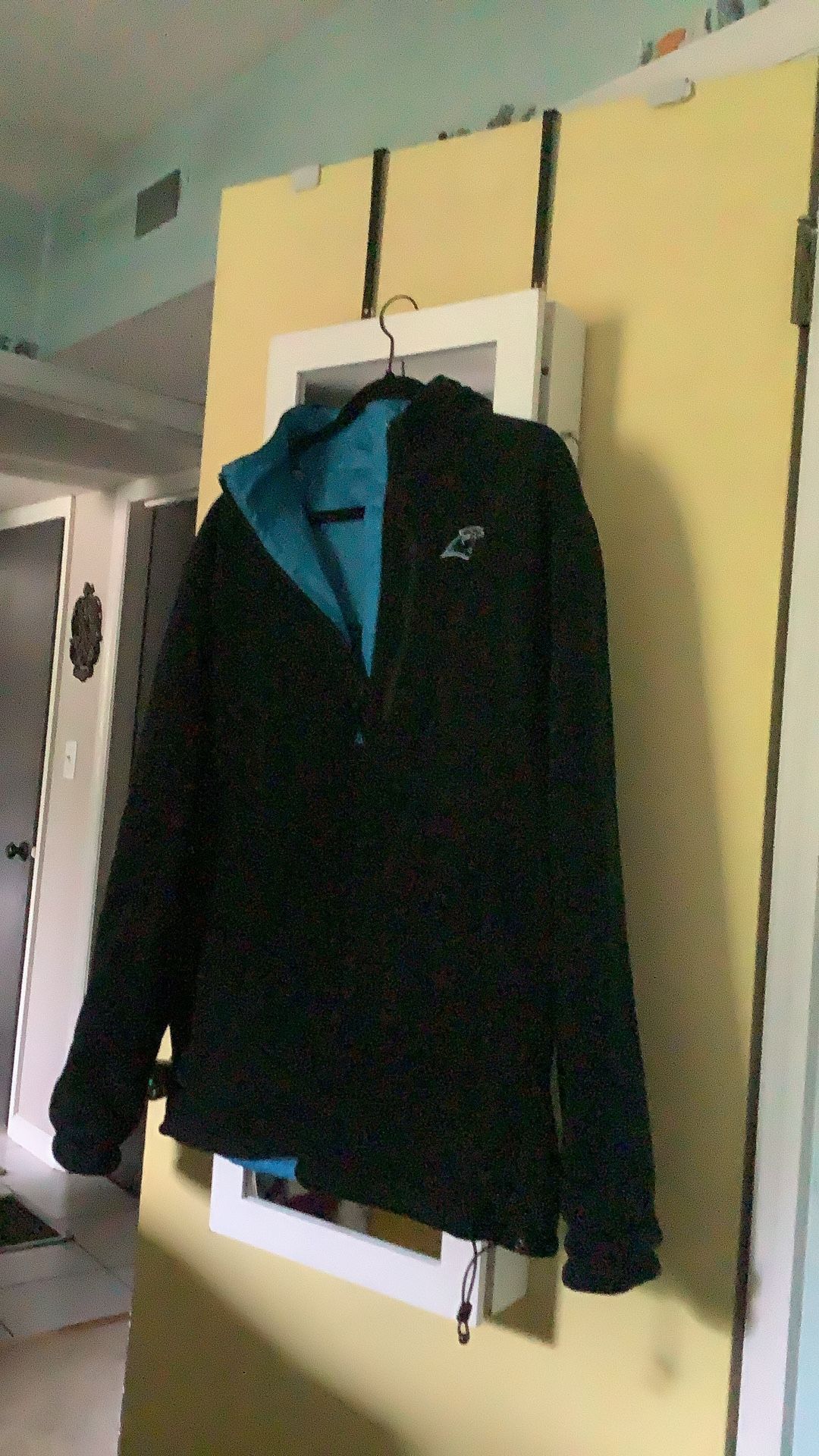 Panthers jacket