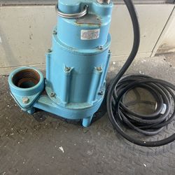 2 Hp Pump Little Giant 