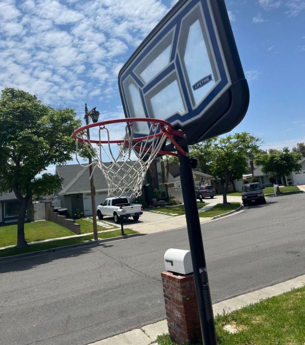 Lifetime 10 Feet Basketball Hoop