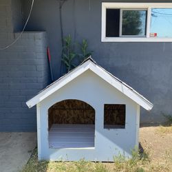 Cane Corso Puppies Dog House Available 