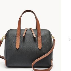 Sydney Satchel Fossil