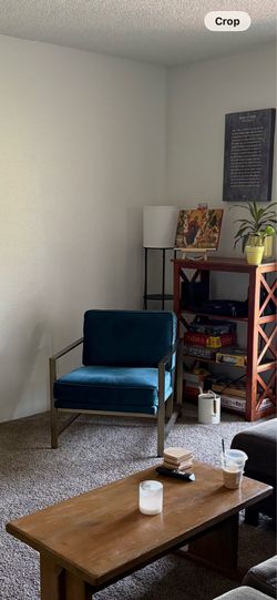 Beautiful Velvet Accent Chair