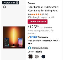 Govee floor lamp 2