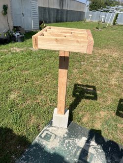 Dragonfruit stand