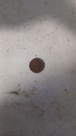 1982 copper Penny Letter d