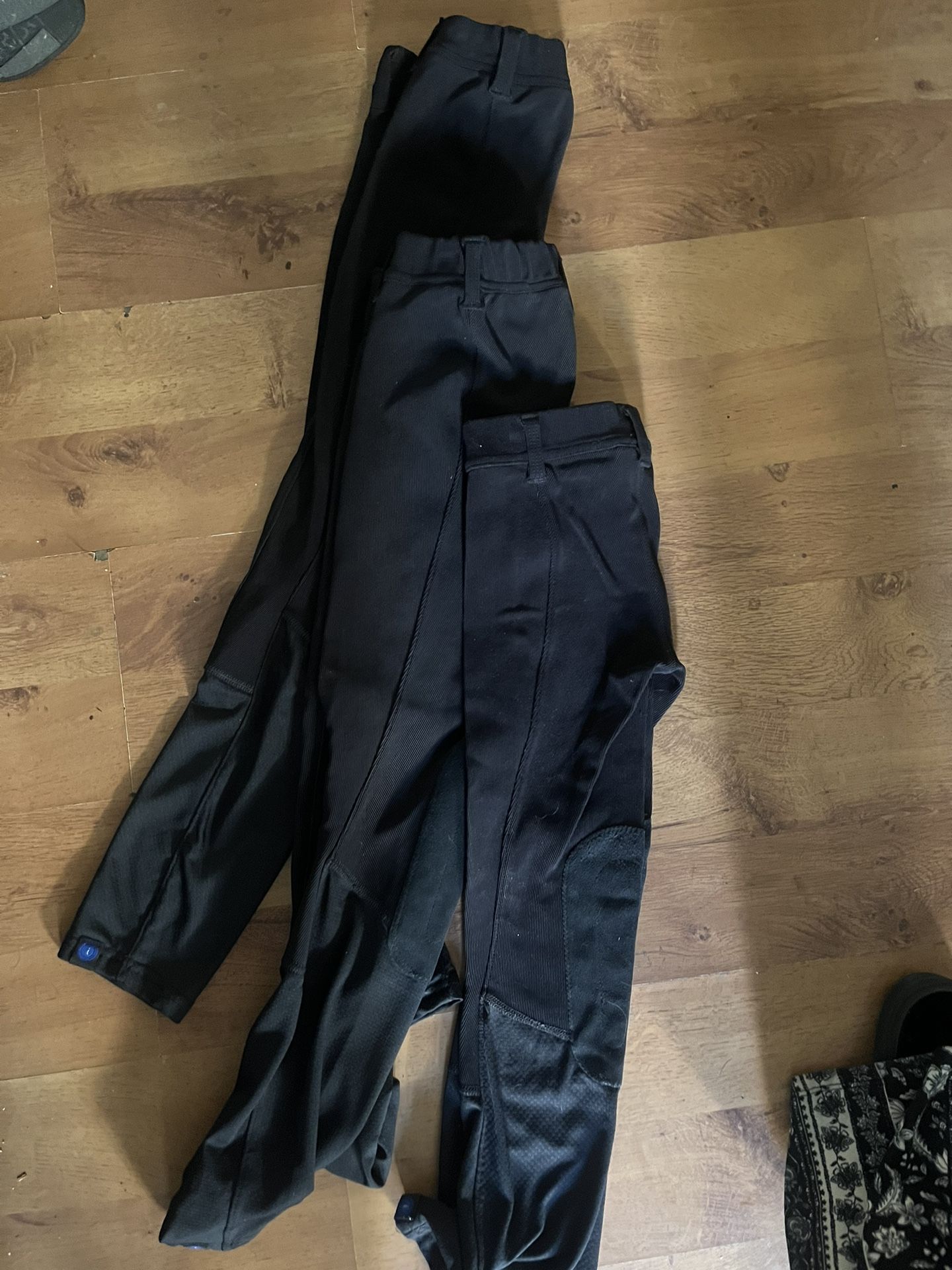Horse Riding Pants 